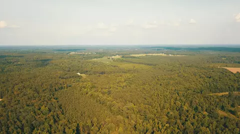 532 James H Rd, Cameron, NC 28326 photo 11
