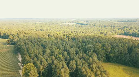 532 James H Rd, Cameron, NC 28326 photo 10