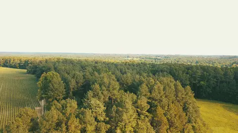 532 James H Rd, Cameron, NC 28326 photo 17