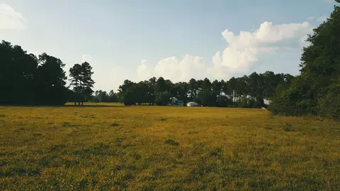 532 James H Rd, Cameron, NC 28326 photo 23