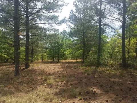 125 Ruby Ridge Rd, West End, NC 27376 photo 1