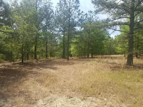 125 Ruby Ridge Rd, West End, NC 27376 photo 2