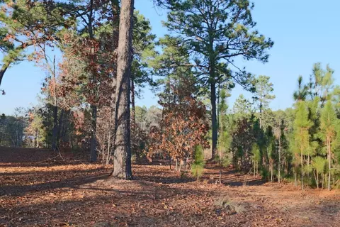 31 Granger Dr, Pinehurst, NC 28374 photo 6