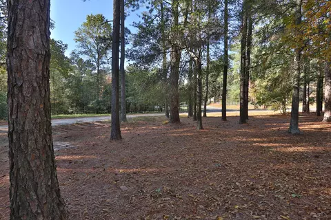 204 James Ave, Hamlet, NC 28345 photo 18