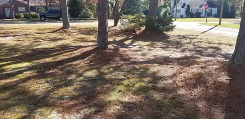 312 Mckinnon St, Hamlet, NC 28345 photo 38