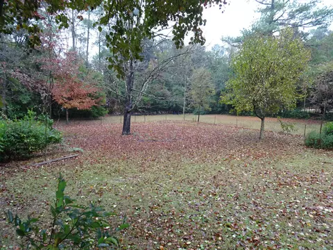 615 E Philadelphia Ave, Pinebluff, NC 28373 photo 44