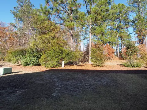 110 Shadow Creek Ct, Pinehurst, NC 28374 photo 30