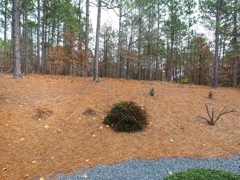 271 Longleaf Dr, West End, NC 27376 photo 31