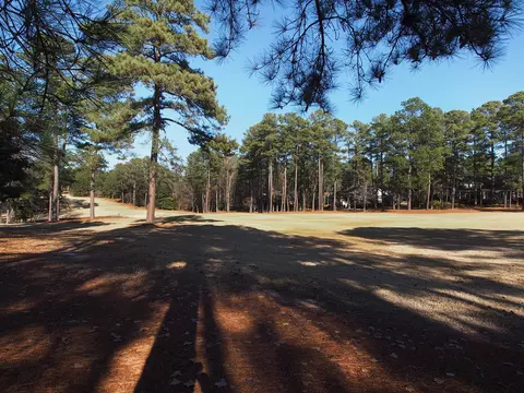 20 Pomeroy Dr, Pinehurst, NC 28374 photo 41