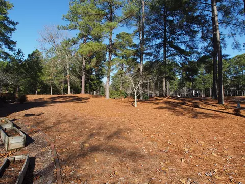20 Pomeroy Dr, Pinehurst, NC 28374 photo 44