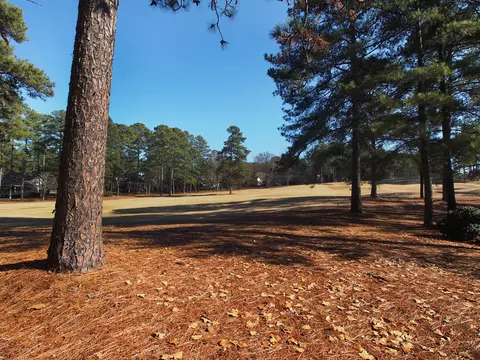 20 Pomeroy Dr, Pinehurst, NC 28374 photo 42