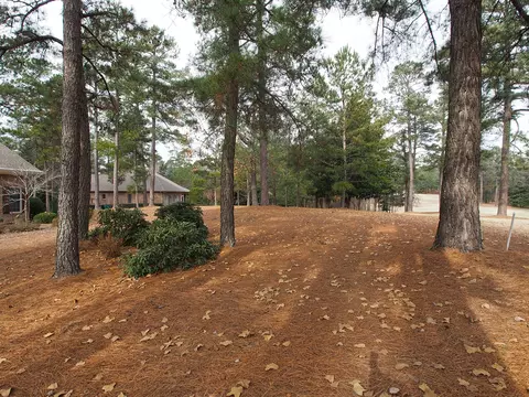 20 Pomeroy Dr, Pinehurst, NC 28374 photo 47