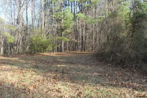 371 Dan Rd, Robbins, NC 27325 photo 5