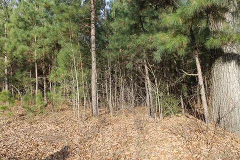 371 Dan Rd, Robbins, NC 27325 photo 9