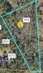811 Morrison Bridge Rd, Vass, NC 28394 photo 1