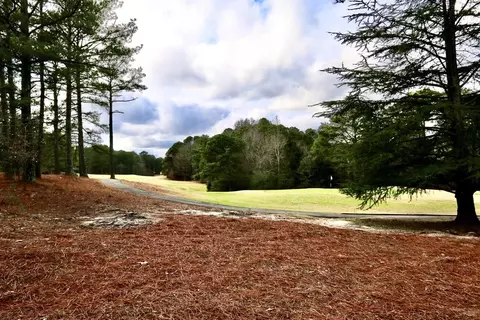 243 W Devonshire Ave, West End, NC 27376 photo 46