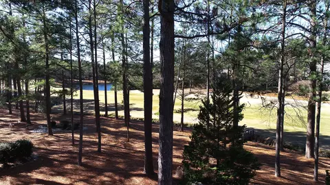 67 Juniper Creek Blvd, Pinehurst, NC 28374 photo 22