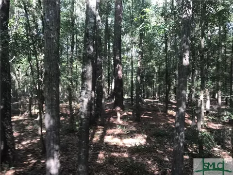 Undisclosed, Sylvania, GA 30467 photo 6