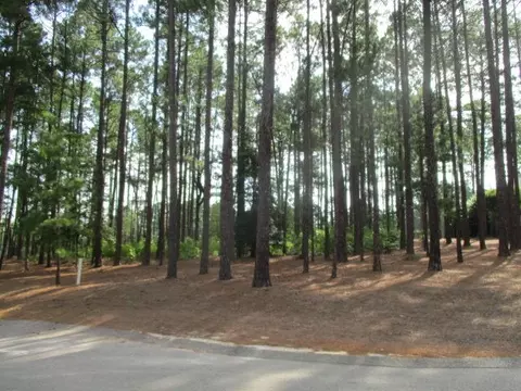 20 Glenbarr Ct, Pinehurst, NC 28374 photo 3