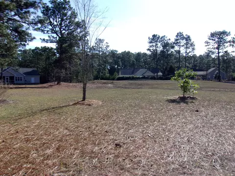 190 S Erfie Dr, Pinebluff, NC 28373 photo 35