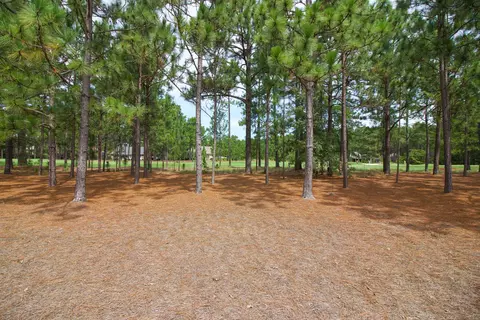 24 Cumnock Ct, Pinehurst, NC 28374 photo 58