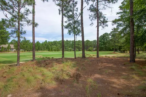 24 Cumnock Ct, Pinehurst, NC 28374 photo 57