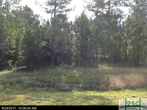 130 Runs Crossing Dr, Springfield, GA 31329 photo 6