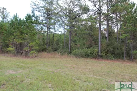 130 Runs Crossing Dr, Springfield, GA 31329 photo 1