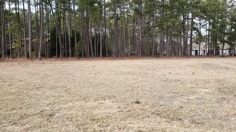 5 Brinyan Ct, Pinehurst, NC 28374 photo 4