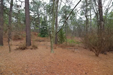 193 Juniper Creek Blvd, Pinehurst, NC 28374 photo 37