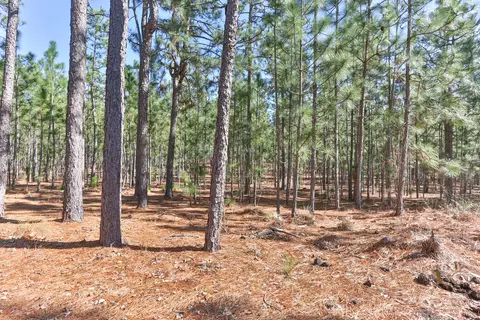 218 Raintree Rd, Hamlet, NC 28345 photo 59