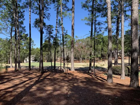 64 Greyabbey Dr, Pinehurst, NC 28374 photo 42