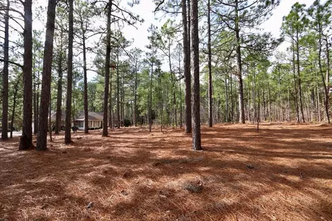 20 Kippen Ct, Pinehurst, NC 28374 photo 1