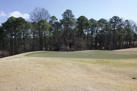 223 Juniper Creek Blvd, Pinehurst, NC 28374 photo 2