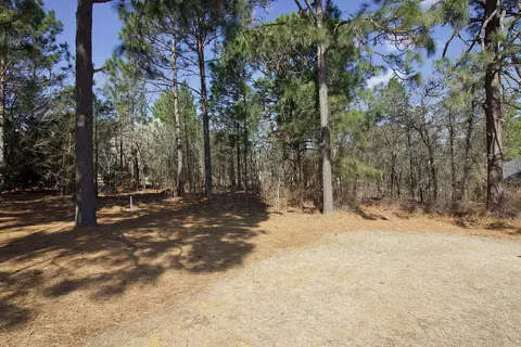 223 Juniper Creek Blvd, Pinehurst, NC 28374 photo 8