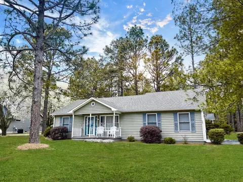 109 Black Cherry Way, Pinebluff, NC 28373 photo 1