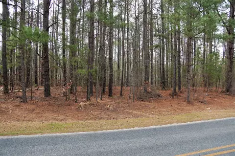 253 Pats Rd, Vass, NC 28394 photo 5