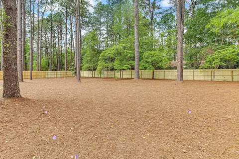 126 Turner Rd, Pinehurst, NC 28374 photo 54