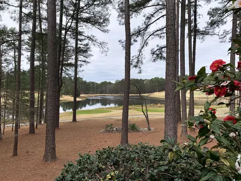 26 Oxton Cir, Pinehurst, NC 28374 photo 53