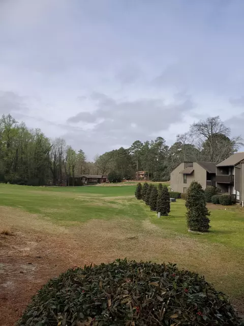 85 Pine Valley Rd #31, Pinehurst, NC 28374 photo 10