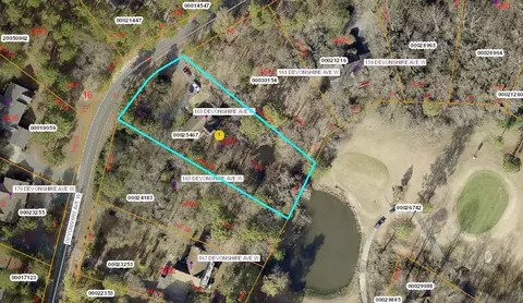 163 W Devonshire Ave, West End, NC 27376 photo 30