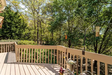 163 W Devonshire Ave, West End, NC 27376 photo 25
