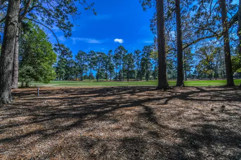 55 Turtle Point Rd, Pinehurst, NC 28374 photo 4