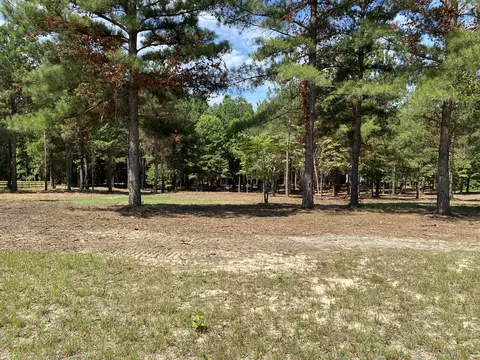 130 Far View Ct, West End, NC 27376 photo 6
