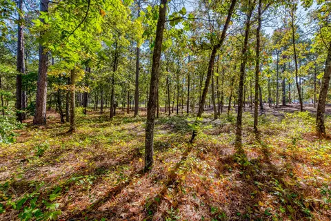 65 Kilbride Dr, Pinehurst, NC 28374 photo 1