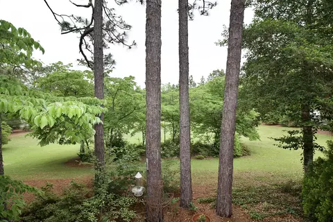 21 Colonial Pines Cir, Pinehurst, NC 28374 photo 44