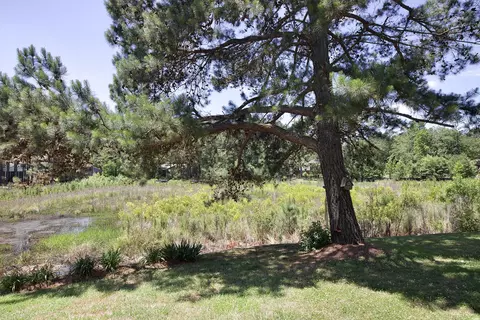 682 Cedar Pt, Vass, NC 28394 photo 41