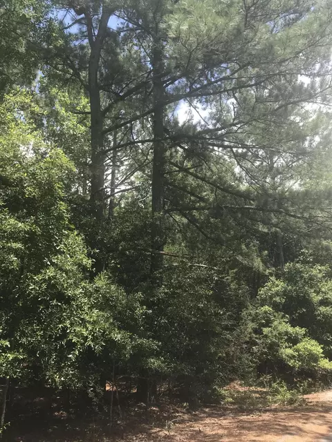 115 Gray Fox Run, Pinehurst, NC 28374 photo 3