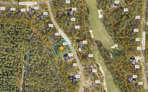 124 Brookfield Dr, Pinehurst, NC 28374 photo 3