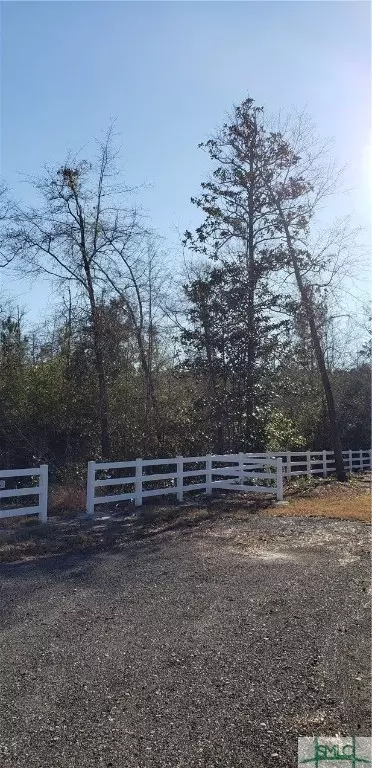 125 Bryan Way, Guyton, GA 31312 photo 4